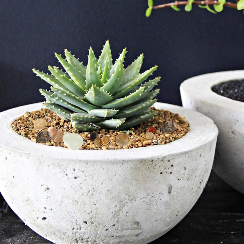 Natural Tumbled River Rocks Pebbles 10 15mm Gravel Stones For Garden Landscaping Succulent Pots 500g - Image 3